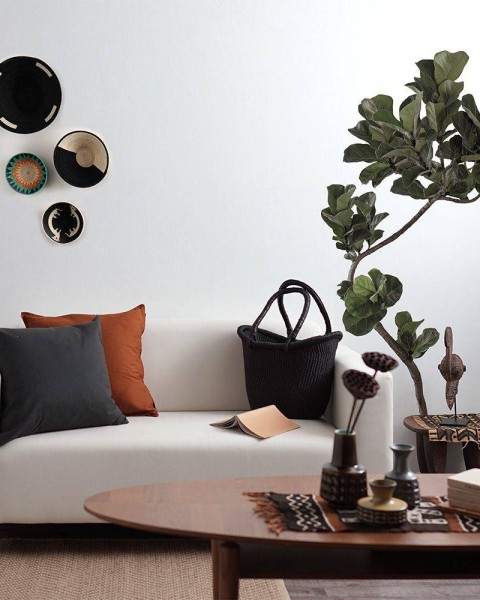 Botanical Sticker | Fiddle-leaf fig Bambino